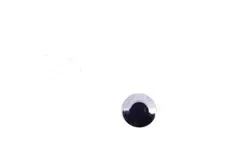 Oblíbený u zákazníků | Náhradní díly, technické údaje, návody a videa pro každý skútr!