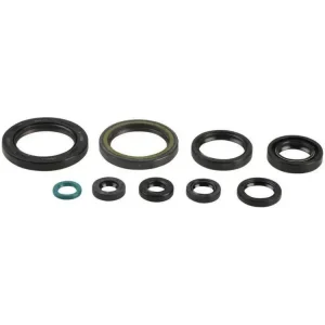 Akce - ATHENA sada gufer motoru HONDA CRF 450R 09-16